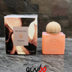 عطر ادکلن آمواج گایدنس برندینی ۳۳ میل |Brandini Amouage Guidance